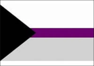 La sexualité représentée par ce drapeau est la/l'...
