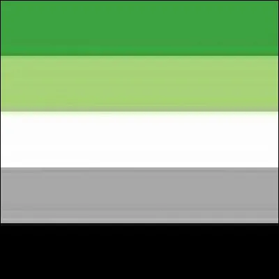 Que représente ce drapeau ?