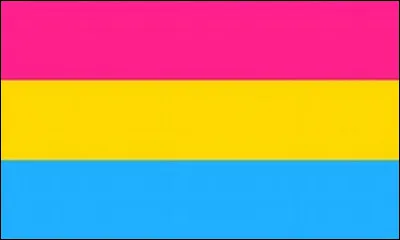 La sexualité représentée par ce drapeau est la/l'...