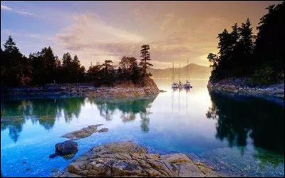 Si votre quiz est passé en privé, à qui pouvez-vous demander des comptes ?