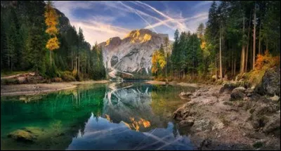 Lequel de ces animaux représente le site ?