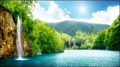 Quel âge devez-vous avoir pour candidater au statut de modérateur ?