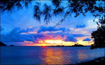 Avec qui Pablo Picasso est-il considéré comme l'un des fondateurs du cubisme ?