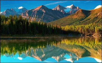 Quelle est la dernière classe de l'école primaire en France ?