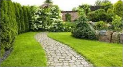 Le premier pain avant une tarte, c'est l'...