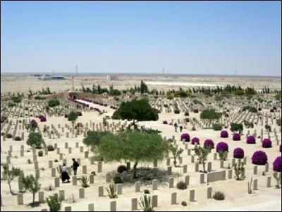 Quelle est cette ville d'Égypte située dans le désert de Libye, célèbre pour les deux batailles importantes de la Seconde Guerre mondiale entre les italo-allemands de Rommel et les franco-britanniques de Montgomery, vainqueurs des deux confrontations ?