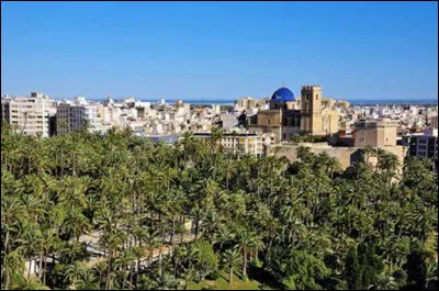 Quelle est cette ville d'Alicante en Espagne, plus grande palmeraie d'Europe et plus grand centre européen de production de chaussures ?