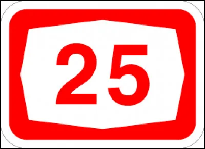 Quelle championne de natation est décédée à l'âge de 25 ans lors d'un accident d'hélicoptère ?