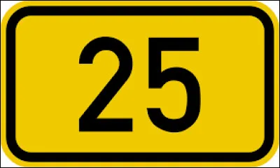 Quelle est la marque du modèle automobile appelé "25" ?