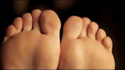 Quelle est cette partie du corps ?