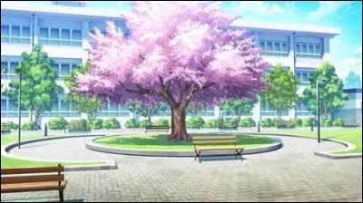 A quel âge les enfants sont-ils obligés d'étudier en Finlande ?