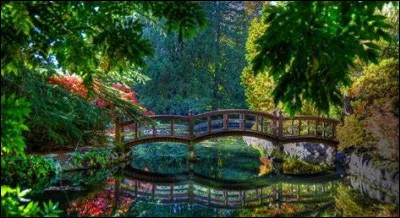 Quelle classe suit le CE2 à l'école primaire en France ?