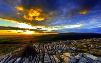 Quelle révolution a permis le départ de Zine el-Abidine Ben Ali ?