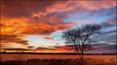 Quelle révolution a permis l'arrivée de la IIe République ?