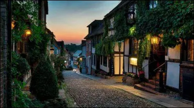 Laquelle de ces couleurs ne trouve-t-on pas sur le drapeau anglais ?