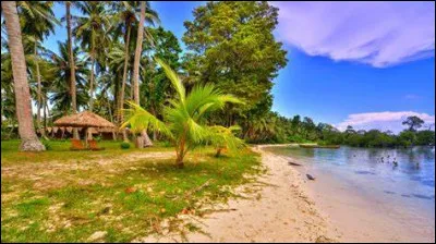 Comment la Martinique est-elle parfois surnommée ?