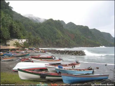 Dès quel siècle les Arawaks ont-ils fui la Martinique ?