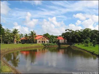 En quelle année un CAPES de créole martiniquais a-t-il été créé ?