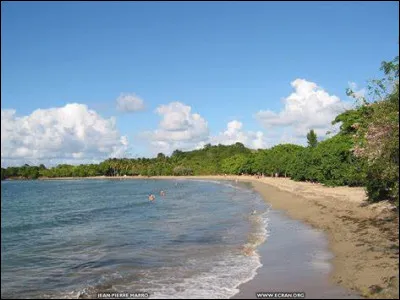 Quelle est la religion la plus pratiquée en Martinique ?