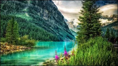 Molière disait cela, "couvrez ce __ que je ne saurais voir".