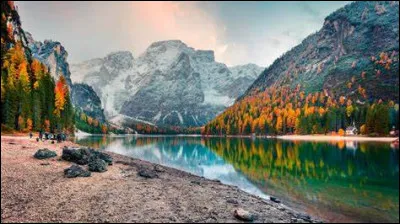 L'important est d'être __cère.