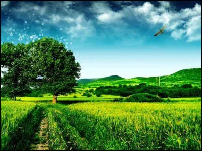 Un puissance n'importe quel nombre vaut :