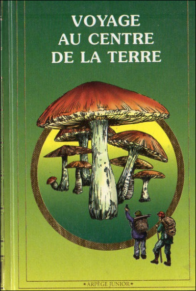 Qui est l'auteur du roman "Voyage au centre de la Terre" ?