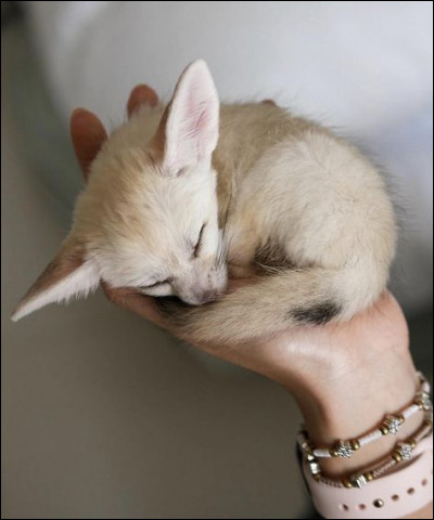 Quand tu vois cette image, comment réagis-tu ?