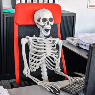 Quelle partie du corps humain est form&eacute;e de deux os dont le calcan&eacute;us ?