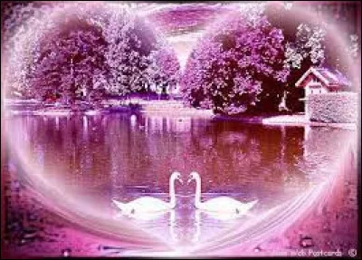 As-tu un petit ami ou une petite amie ?