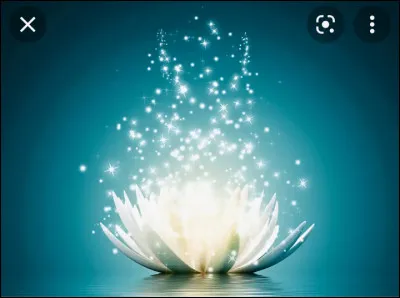 Pourquoi fais-tu ce test ?