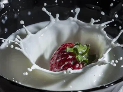 Lequel de ces termes désigne le lait en début de lactation ?