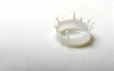 Sur laquelle de ces îles retrouve-t-on l'espèce florale Tabernaemontana persicariaefolia ?