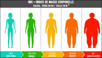 Quel est ton IMC arrondi ?