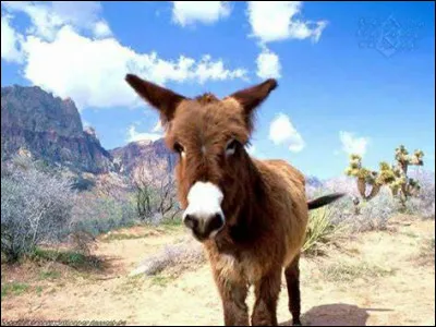 Laquelle de ces propositions désigne un jeu de logique ?