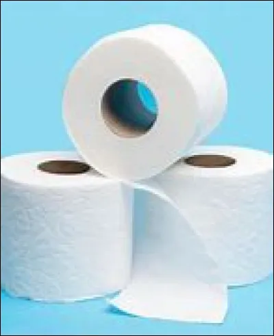 Quand le papier-toilette a-t-il &eacute;t&eacute; introduit en France ?