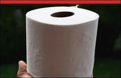 Quel est l'anc&ecirc;tre du papier toilette ?