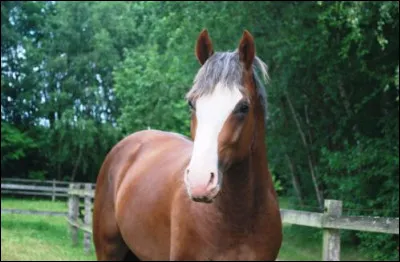 Regardez-moi, j'ai :