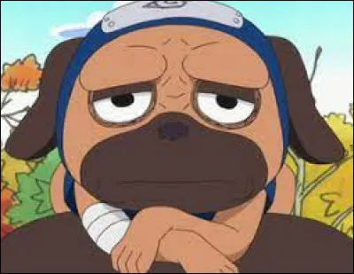 Comment s'appelle le chien de Kakashi ?