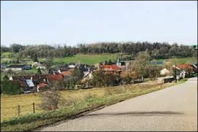 Petit village de 68 habitants, dans l'arrondissement de Chaumont, Ninville se situe dans le département ...