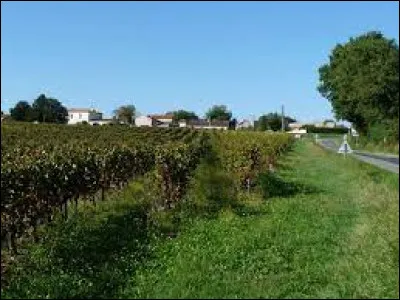 Village viticole de l'arrondissement de Blaye, Saint-Ciers-de-Canesse se situe dans le département ...