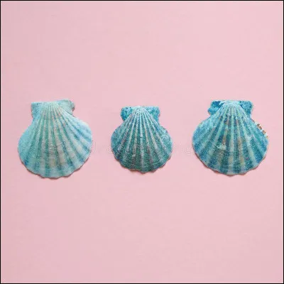 De quelle couleur sont les coquillages ?