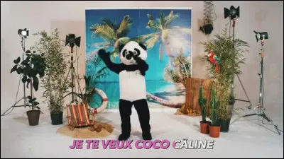 Je te veux Coco Câline- Je te veux, prends-moi !