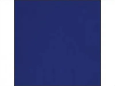 Y a pas qu'au fond de la piscine - Que mes yeux sont bleu marine !