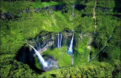 Qu'est le Tuit-tuit ?