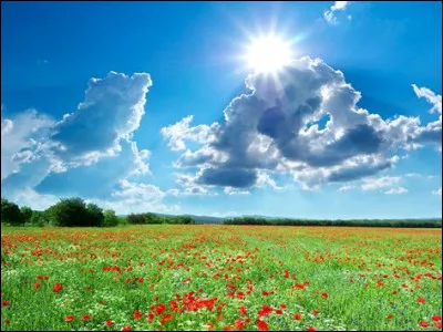 Devant quel château trouve-t-on des statues appelées les Quatre Saisons ?