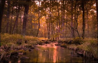 Lequel de ces compositeurs nous a offert des morceaux sur chacune des quatre saisons ?