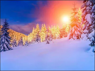 Laquelle de ces saisons suit le printemps ?