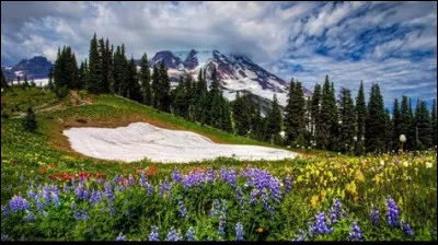 Quelle saison de "Stranger Things" est sortie en juillet 2022 ?