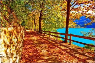 Que représentent les artichauts positionnés traditionnellement sur la pizza quatre saisons ?